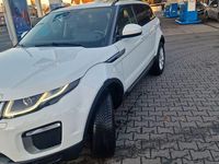 Gebraucht Land Rover Range Rover evoque SE Dynamic 150 PS (110 kW) 2017 Weiß SUV