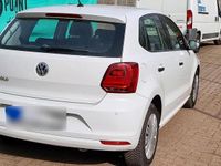 Gebraucht VW Polo 60 PS (44 kW) 2015 Weiß Kleinwagen