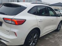 Gebraucht Ford Kuga ST-Line X 150 PS (110 kW) 2020 Weiß SUV