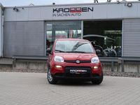 Gebraucht Fiat Panda 69 PS (50 kW) 2024 Rosso alfa, uni Kleinwagen