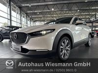 Neu Mazda CX-30 140 PS (102 kW) 2025 Weiß SUV