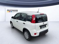 Gebraucht Fiat Panda Pop 69 PS (50 kW) 2024 Weiß Kleinwagen