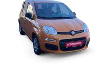 Gebraucht Fiat Panda Easy 69 PS (50 kW) 2021 Orange Kleinwagen