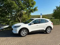 Usata Ford Kuga Cool & Connect 120 CV (88 kW) 2020 Bianco SUV