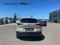 Neu Mazda CX-30 Homura-Line 140 PS (102 kW) 2026 Beige SUV