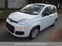 Gebraucht Fiat Panda Easy 69 PS (50 kW) 2017 Gelato  weiß Kleinwagen