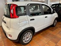 Gebraucht Fiat Panda 69 PS (50 kW) 2023 Weiß Kleinwagen