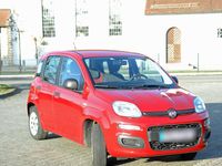 Gebraucht Fiat Panda Pop 69 PS (50 kW) 2015 Rot Kleinwagen