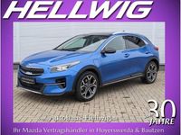 Gebraucht Kia XCeed Platinum Edition 141 PS (103 kW) 2021 Blau SUV