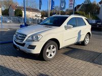Gebraucht Mercedes ML350 Edition 231 PS (169 kW) 2010 Weiß SUV