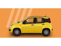 Neu Fiat Panda Icon 69 PS (50 kW) 2025 Positano gelb Kleinwagen