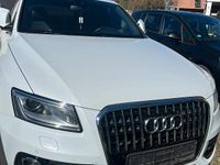 Gebraucht Audi Q5 S-Line 245 PS (180 kW) 2013 Weiß SUV