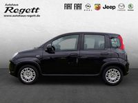 Gebraucht Fiat Panda 69 PS (50 kW) 2024 Schwarz Kleinwagen