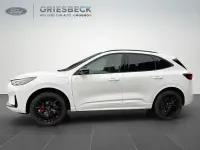 Neu Ford Kuga ST-Line X 242 PS (177 kW) 2026 Frostweiss SUV