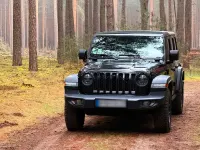 Gebraucht Jeep Wrangler Rubicon 272 PS (200 kW) 2021 Schwarz SUV