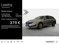 Gebraucht Skoda Octavia Selection 150 PS (110 kW) 2025 Brillantsilber metallic Kombi