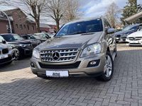 Gebraucht Mercedes ML320 224 PS (164 kW) 2009 Sanidinbeige  metalliclack SUV