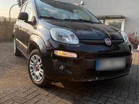 Gebraucht Fiat Panda Easy 69 PS (50 kW) 2020 Schwarz Kleinwagen