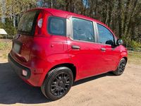 Gebraucht Fiat Panda 69 PS (50 kW) 2016 Rot Kleinwagen