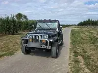 Gebraucht Jeep Wrangler 178 PS (130 kW) 1991 Schwarz SUV