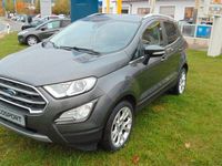Gebraucht Ford Ecosport 125 PS (91 kW) 2021 Magnetic grau (metallic) SUV