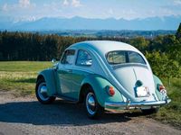 Gebraucht VW Käfer 46 PS (33 kW) 1963 Weiß Limousine