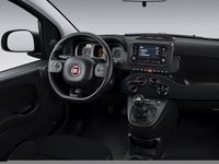 Używany Fiat Panda 70 KM (51 kW) 2024 Hatchback