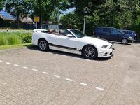 Gebraucht Ford Mustang 305 PS (224 kW) 2013 Weiß Cabrio