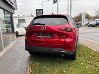 Gebraucht Mazda CX-5 Ad'Vantage 194 PS (142 kW) 2024 Rot SUV