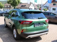 Neu Ford Kuga Titanium 152 PS (111 kW) 2026 Grün SUV