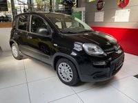 Neu Fiat Panda 69 PS (50 kW) 2026 Schwarz Kleinwagen