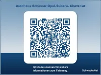 Gebraucht Renault Kadjar LIMITED 140 PS (102 kW) 2020 Grau SUV
