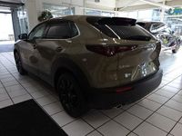 Gebraucht Mazda CX-30 Homura-Line 140 PS (102 kW) 2025 SUV