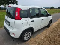 Gebraucht Fiat Panda 69 PS (50 kW) 2023 Weiß Kleinwagen