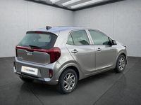 Neu Kia Picanto Vision 68 PS (50 kW) 2025 Grau Kleinwagen