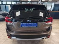 Gebraucht Subaru Forester Platinum 150 PS (110 kW) 2024 Brilliant bronze SUV