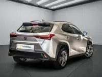 Gebraucht Lexus UX 2021 Grau SUV