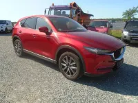Gebraucht Mazda CX-5 Sports-Line 194 PS (142 kW) 2018 Rot SUV