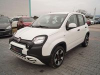 Gebraucht Fiat Panda Cross Cross 69 PS (50 kW) 2023 Weiß Kleinwagen