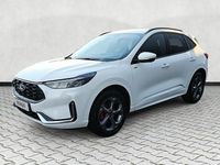 Neu Ford Kuga ST-Line X 186 PS (136 kW) 2025 Frostweiß SUV