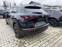Neu Mazda CX-30 Homura-Line 140 PS (102 kW) 2025 SUV