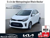 Gebraucht Kia Picanto Vision 67 PS (49 kW) 2024 Weiß Kleinwagen