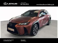 Neu Lexus UX 300h Sport Design Packet 199 PS (146 kW) 2026 Rot SUV