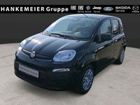 Neu Fiat Panda Icon 65 PS (47 kW) 2026 Schwarz Kleinwagen