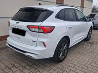 Gebraucht Ford Kuga ST-Line X 224 PS (164 kW) 2023 Weiß SUV