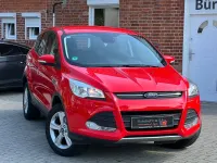 Gebraucht Ford Kuga SYNC Edition 150 PS (110 kW) 2016 Rot SUV