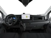 Neu Ford Transit Trend 131 PS (96 kW) 2026 Magnetic metallic magnetic metallic Van