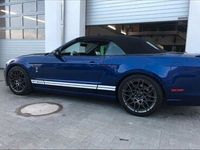 gebraucht Ford Shelby 