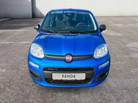 Neu Fiat Panda 69 PS (50 kW) 2025 Blau Limousine