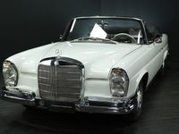 Gebraucht Mercedes 250 SE 150 PS (110 kW) 1966 Papyrus weiß 717 Cabrio